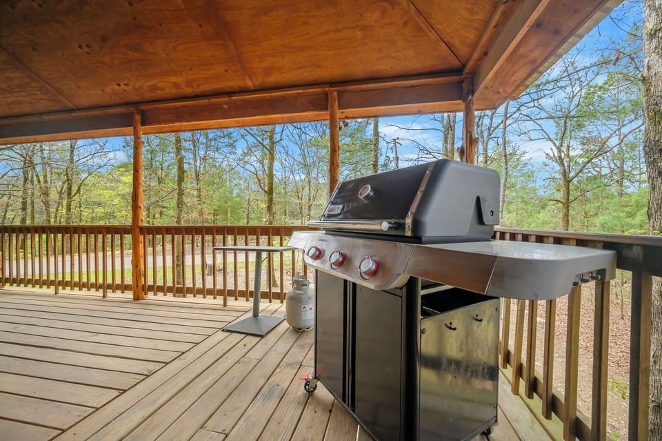 Weber Propane Grill