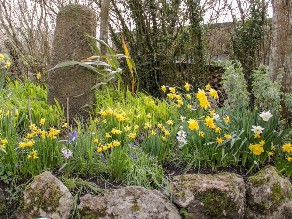 Cottage | Property grounds