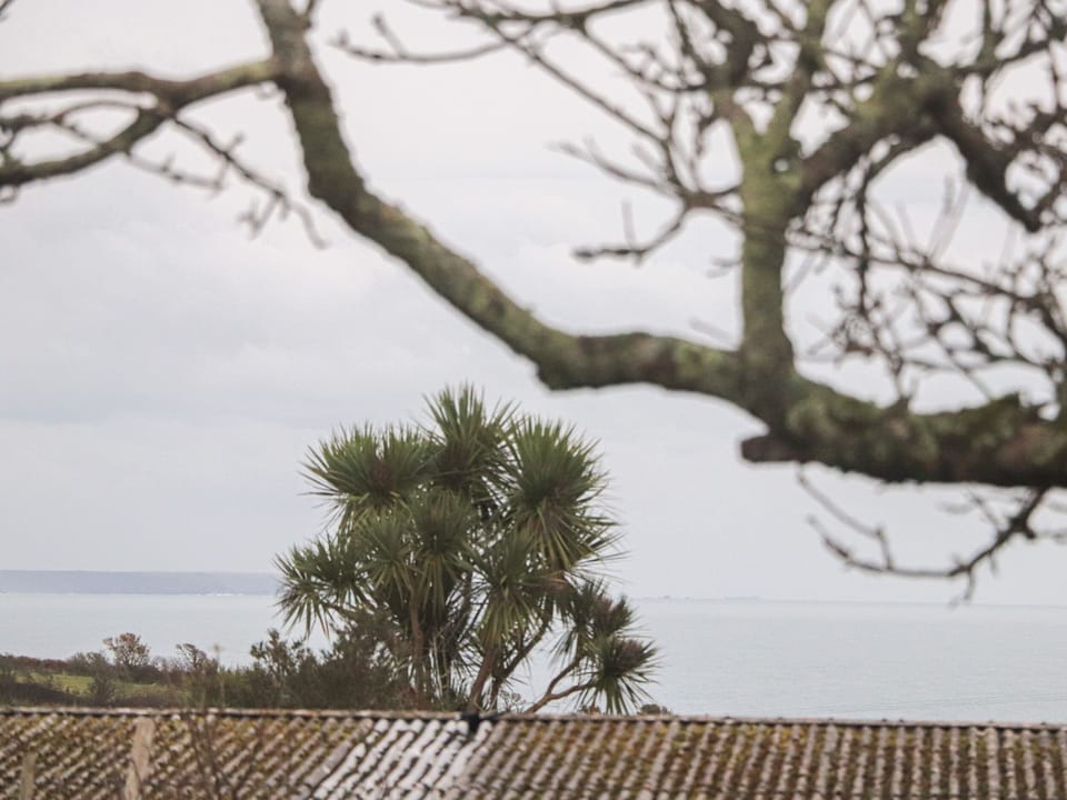 Cottage | Miscellaneous