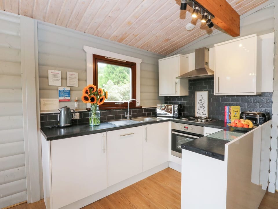 Fridge, microwave, dishwasher, electric kettle