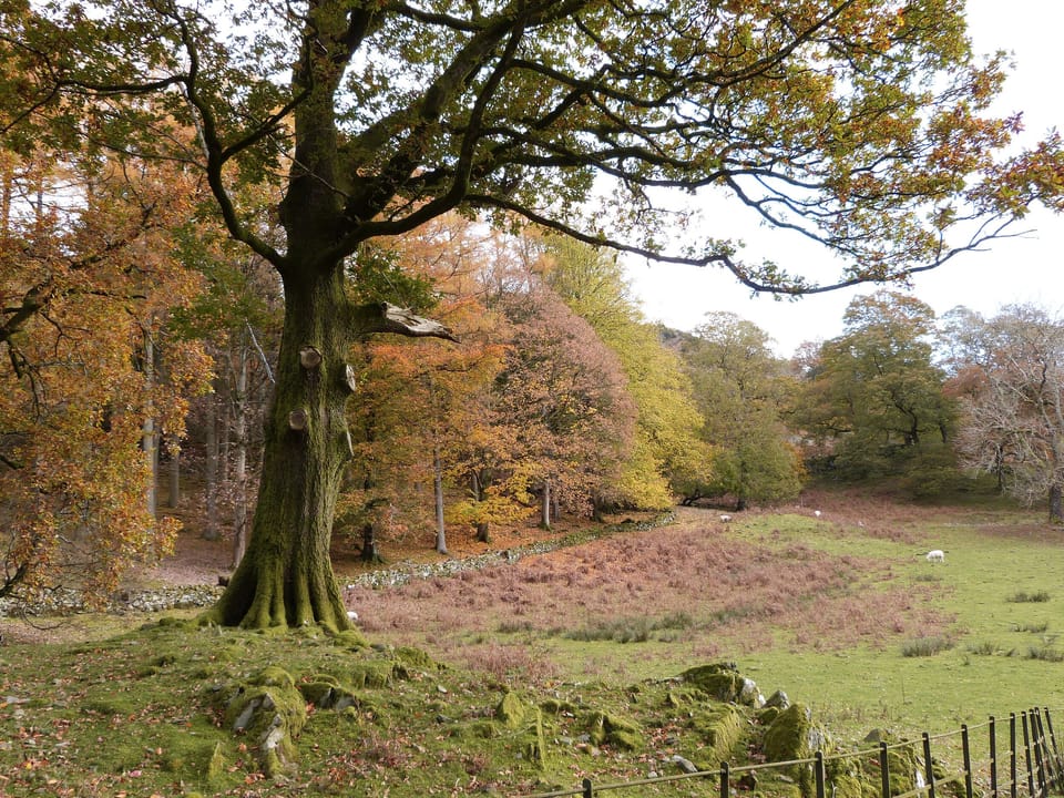 Cottage | Interior