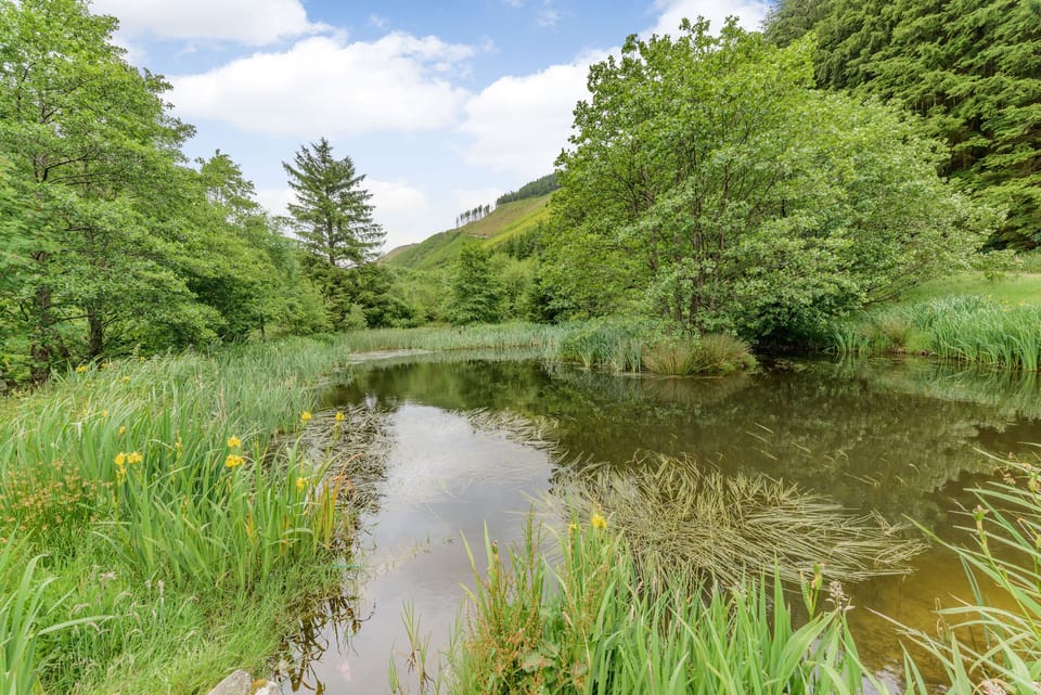 Groes Heol Cottage in Wales