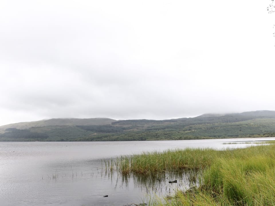 Cottage | Miscellaneous