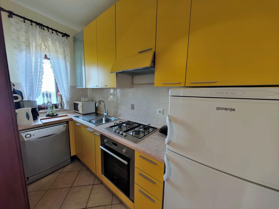 Apartment (A1) | Private kitchen | Fridge, microwave, oven, stovetop