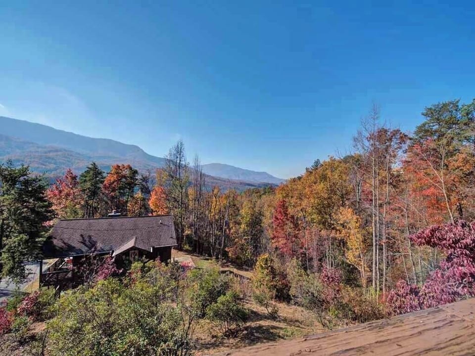 Studio (2 Bedrooms) | Property amenity