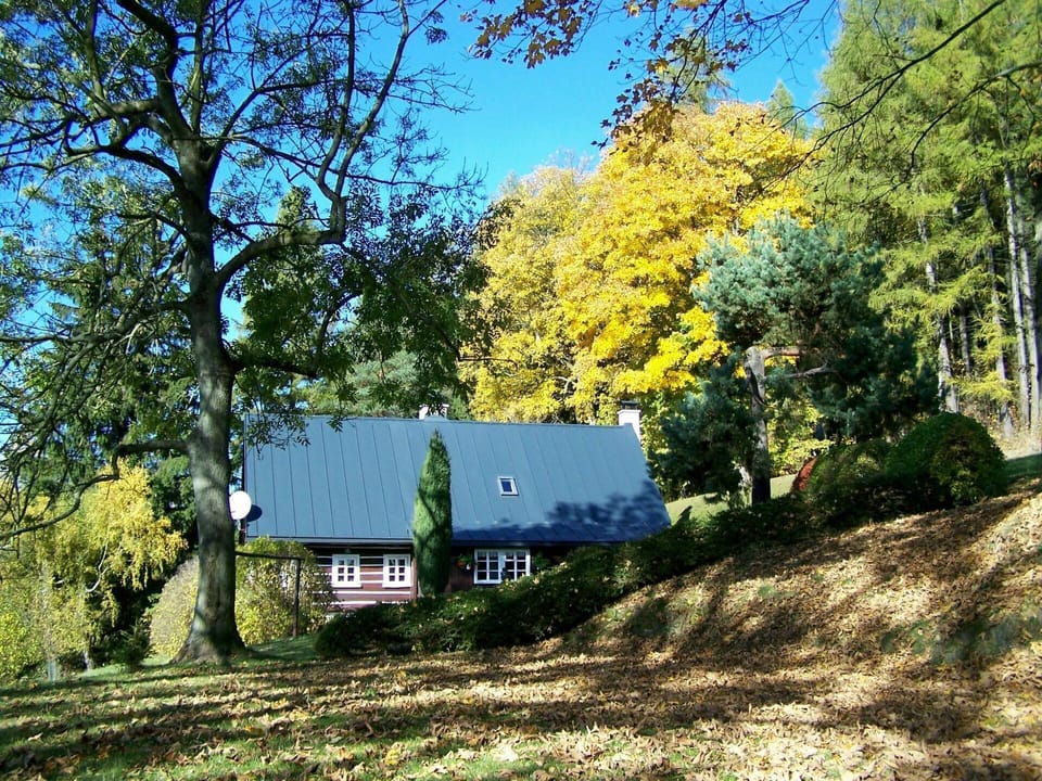 Nature, Tree, Leaf, House, Property, Natural Landscape, Sky, Cottage, Home, Rural Area