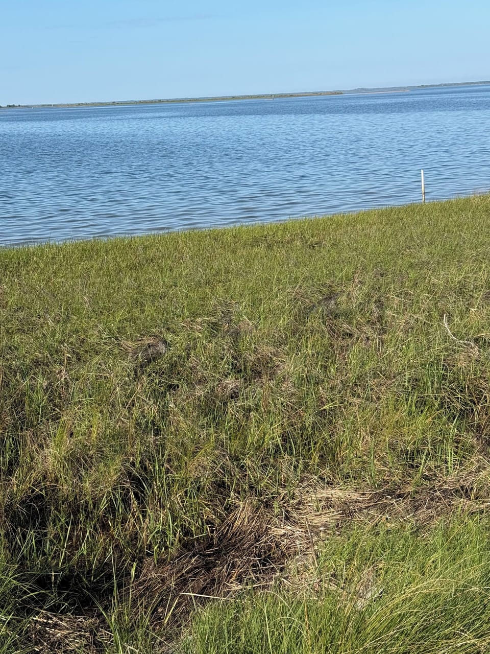 Opportunity to fish!