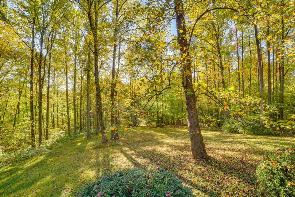 Backyard | Wraparound Porch | Gas Grill | Outdoor Seating | Fire Pit