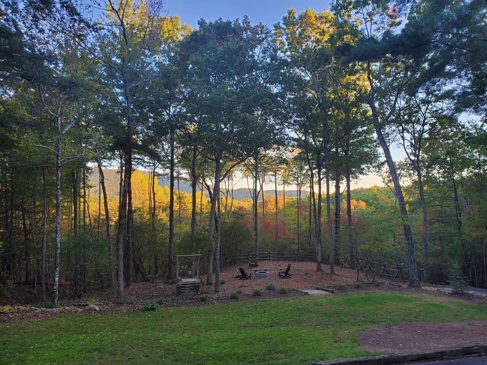 Springer Mountain View