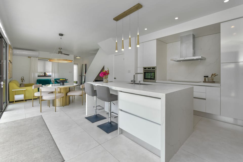 Open concept kitchen & living room 
