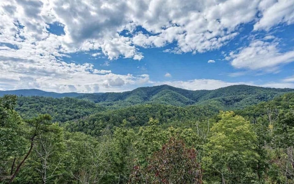THAT GORGEOUS VIEW!  This is what coming to the Smoky Mountains is all about!