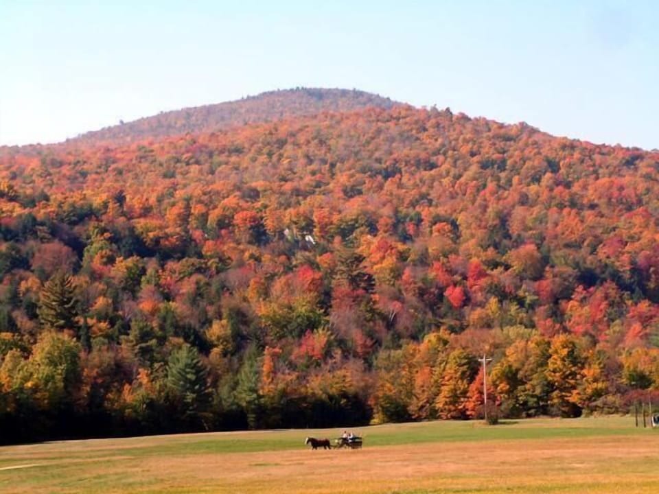 Sleigh and carriage rides are offered just minutes from the condo