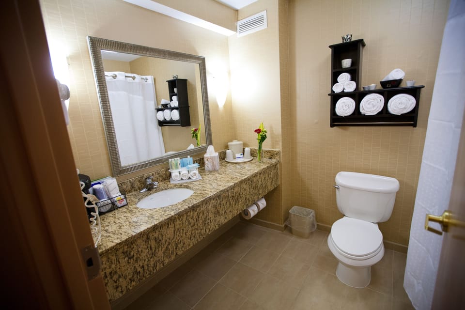 Hair dryer, towels
