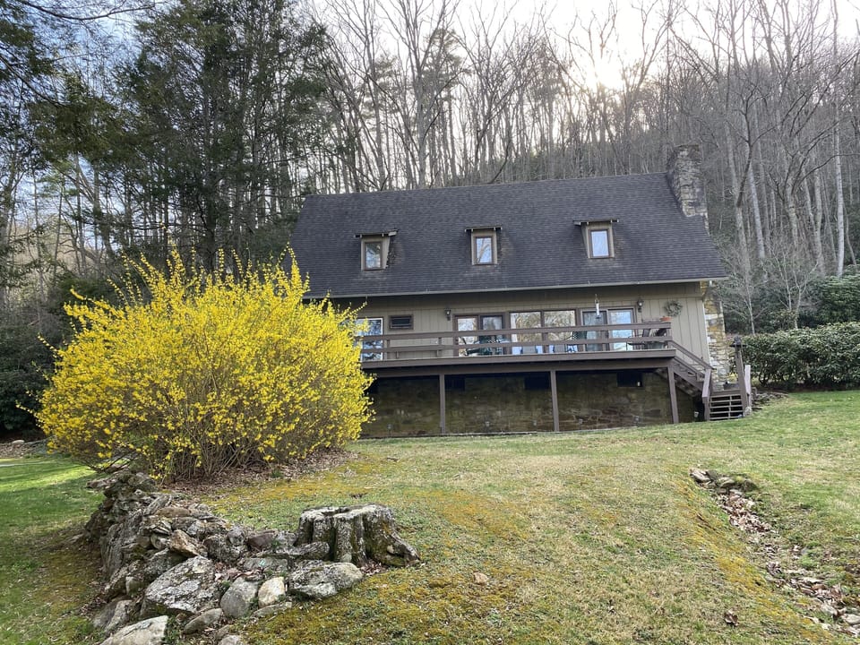 Springtime forsythia and dogwoods are abundant