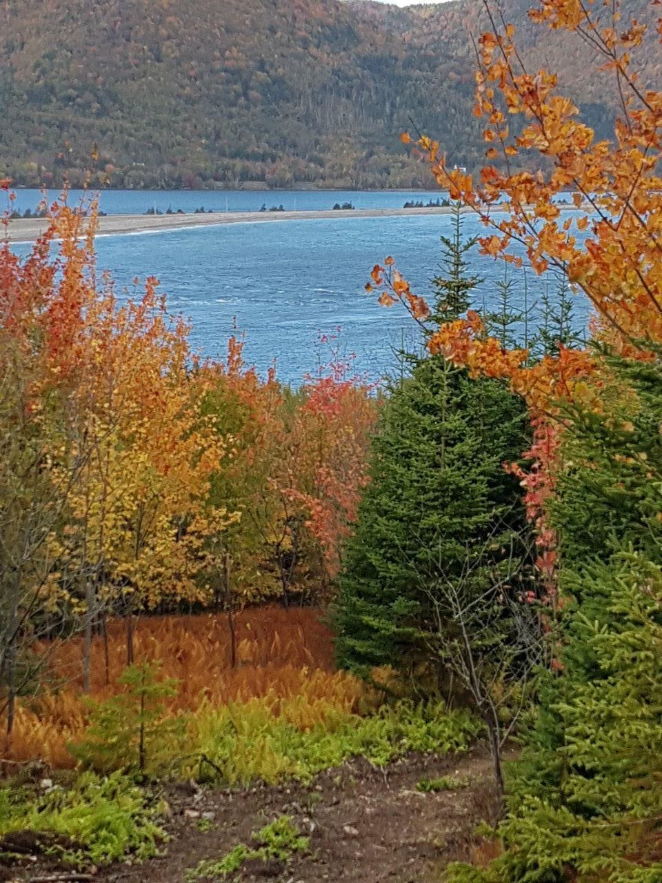 View of St Ann's Bay in autumn