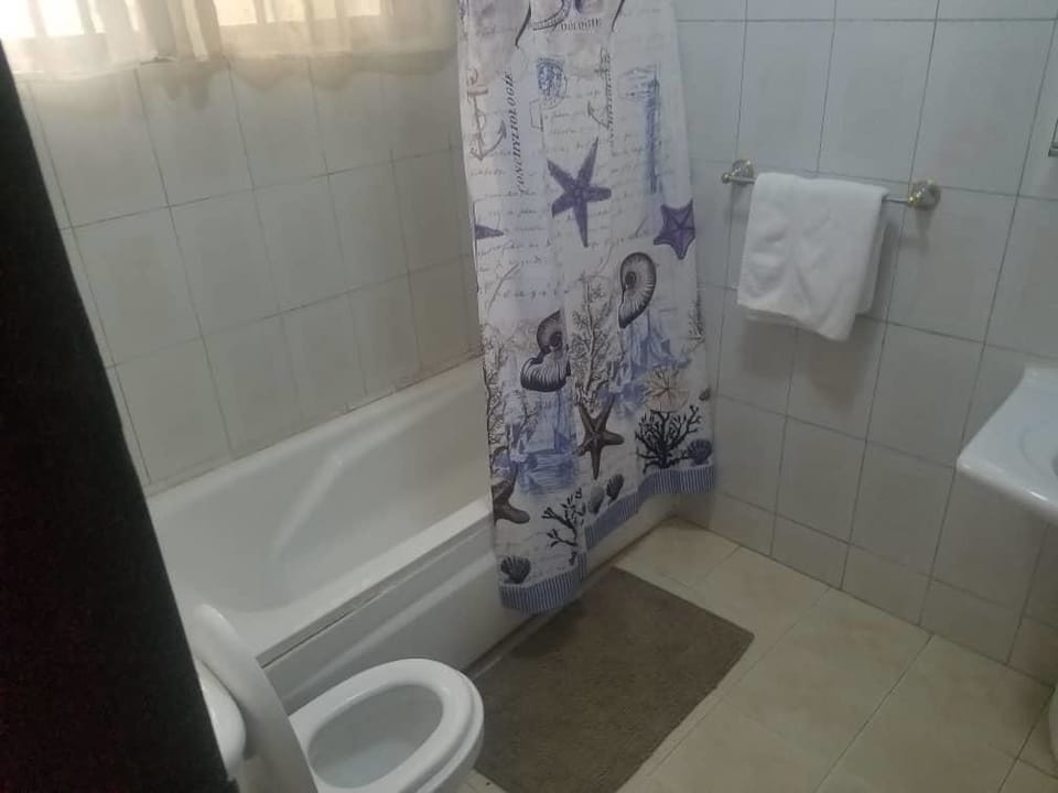 Bathtub, towels, soap, shampoo