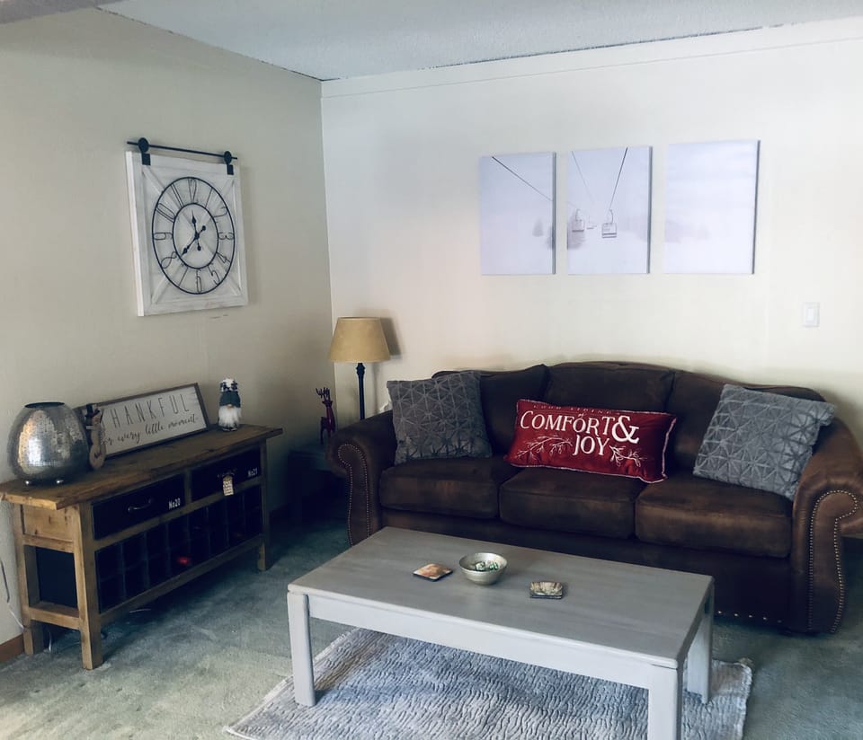 Living with Queen sized sofa-sleeper.