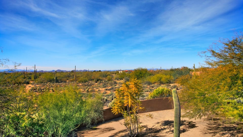 Land view from property