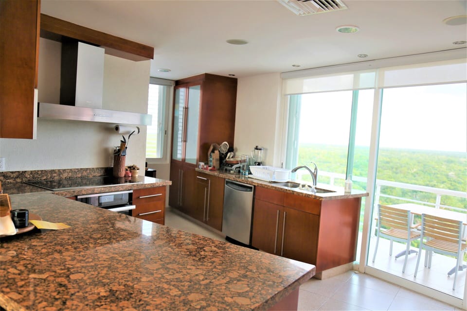 modern kitchen integrated to dinning-living room  additional jungle view terrace