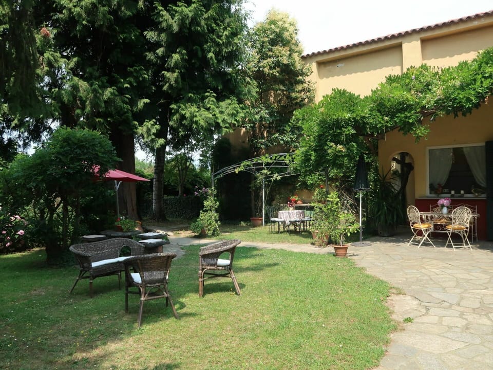 Plant, Furniture, Building, Outdoor Bench, Tree, Shade, Outdoor Furniture, Sky, Land Lot