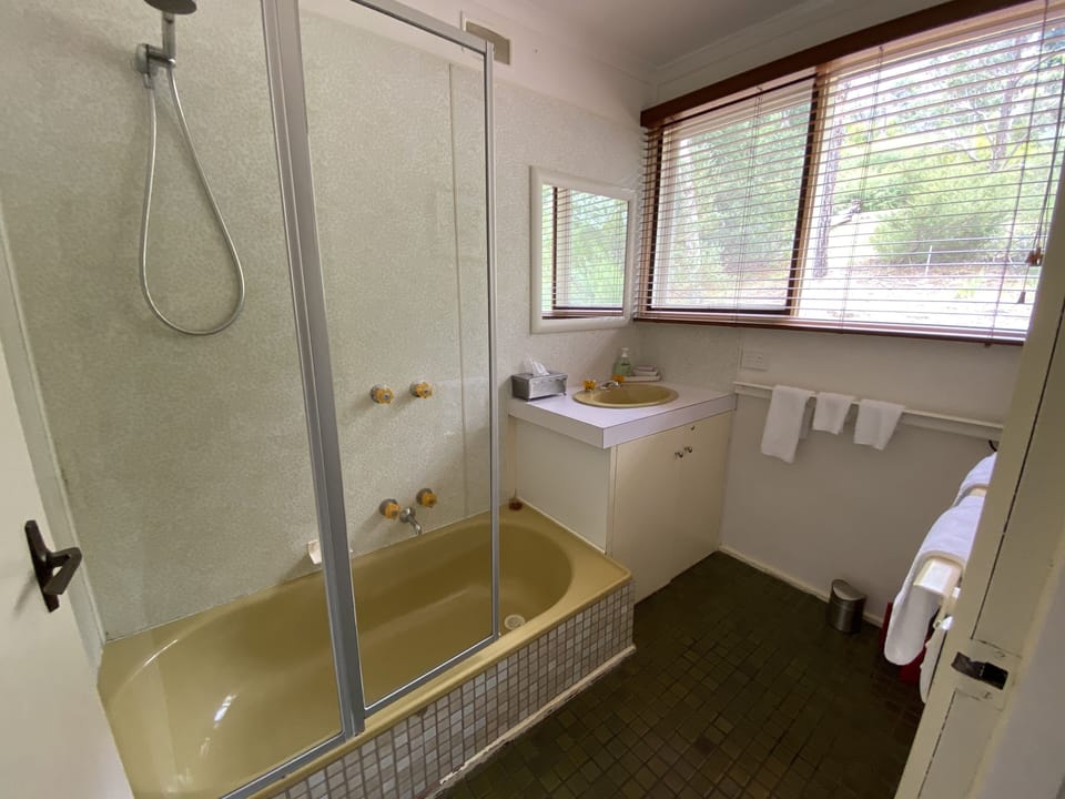 Convenient separate toilet in our bathroom.