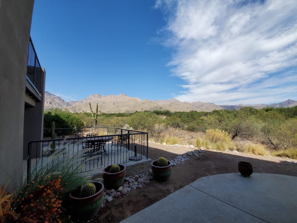 Patio View