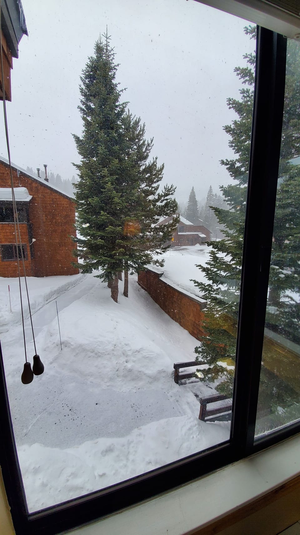 View from living room