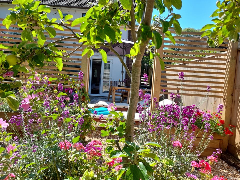 View to the studio from garden - we live in the house above