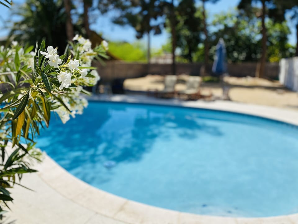 Spacious pool and huge backyard, gated and secured 