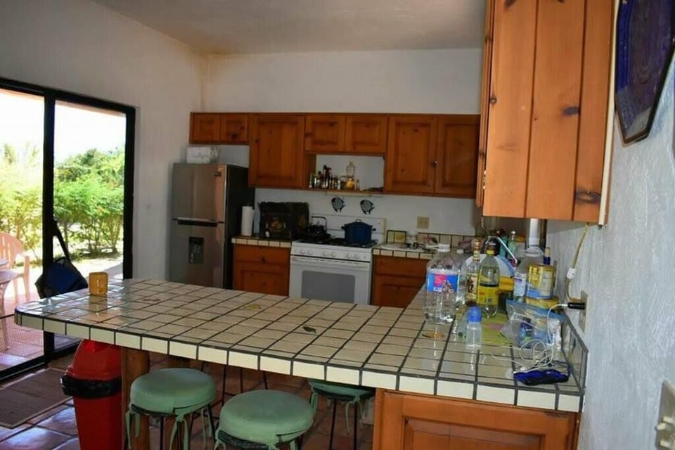 Downstairs Kitchen (1)