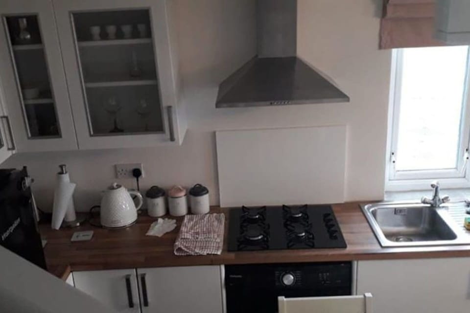 Apartment | Private kitchen | Fridge, microwave, oven, stovetop