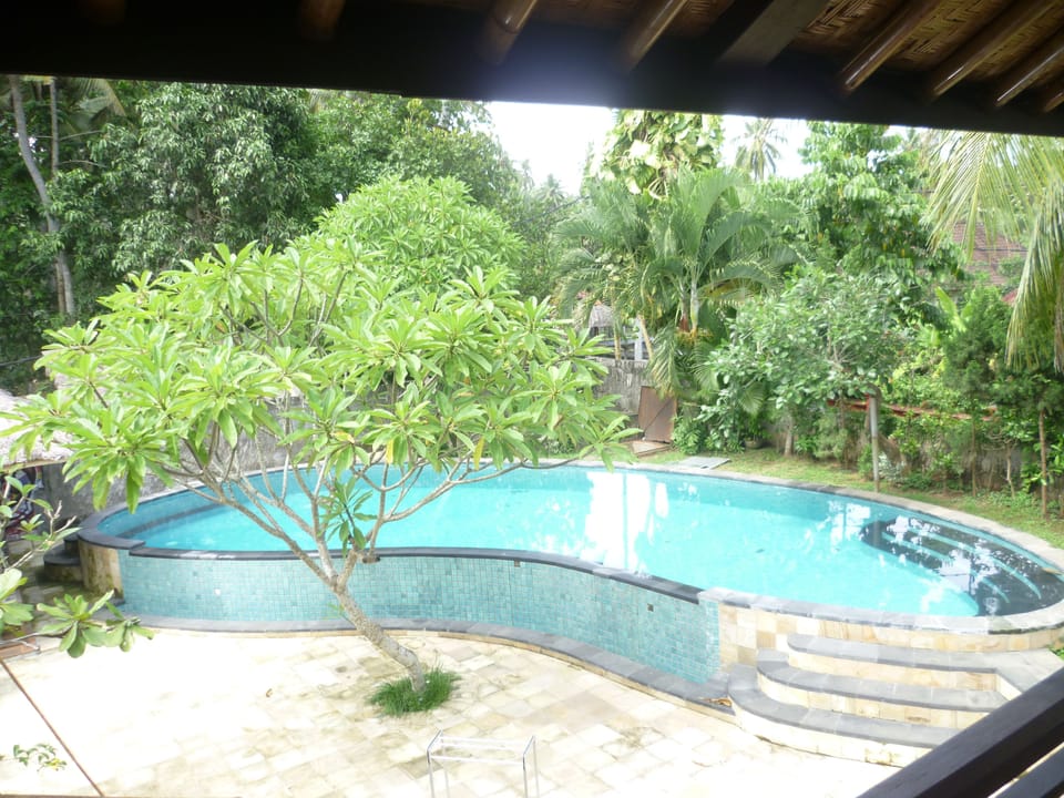 Outdoor pool, sun loungers