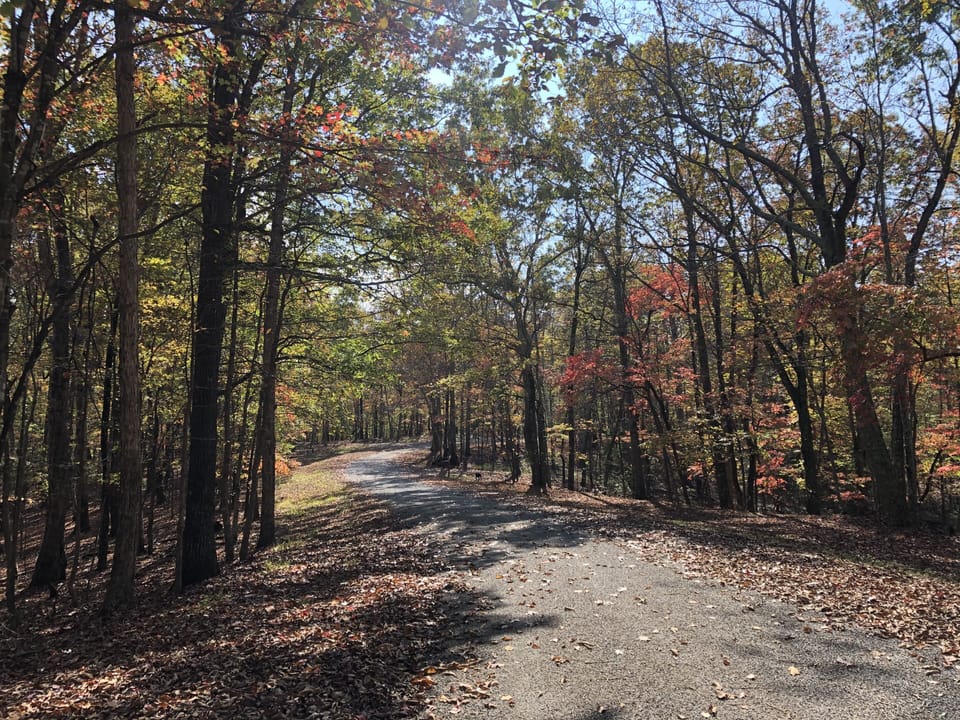 1.3 mi road to the cabin.