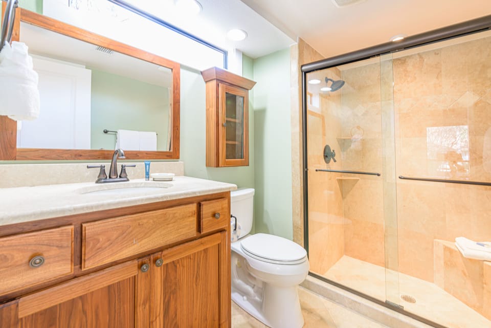Guest Bathroom with Walk