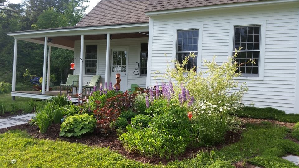 Front yard
