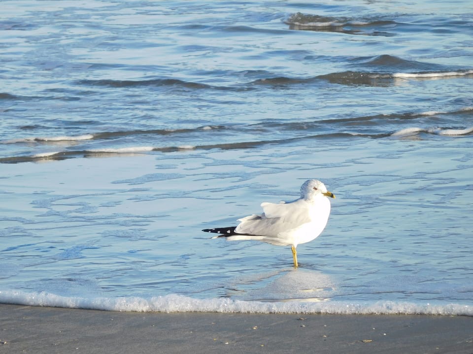 Beach