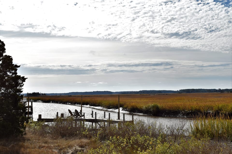Estuary