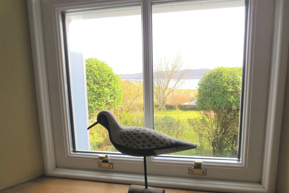 Northern Lights Window