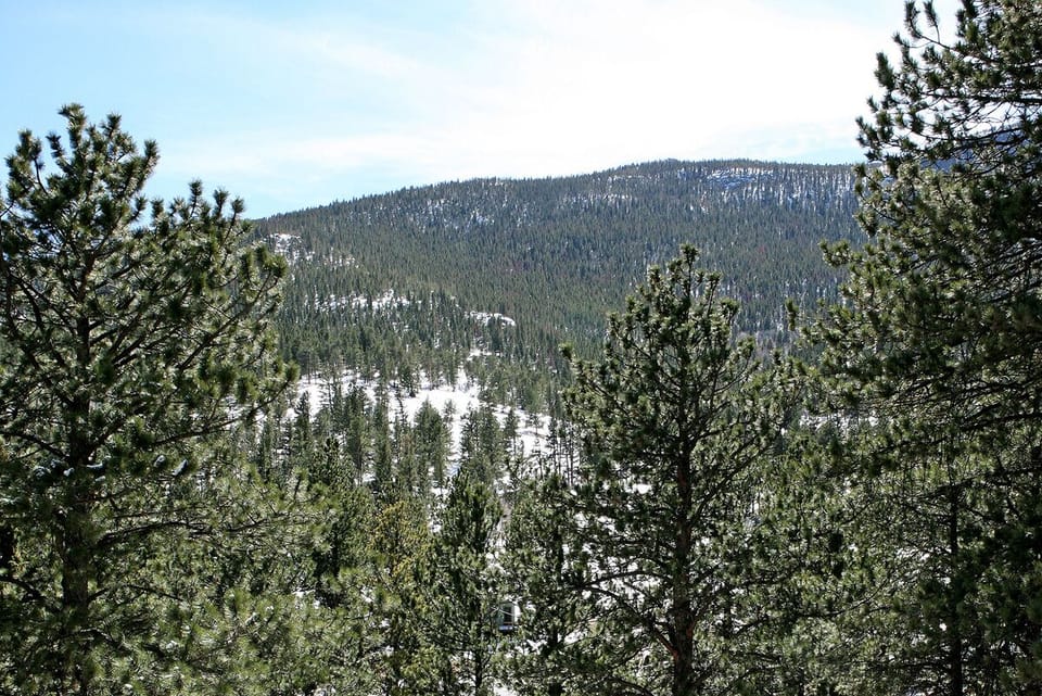 View from Deck