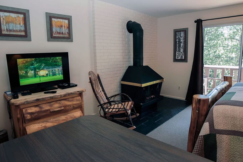 Free standing Gas Fireplace