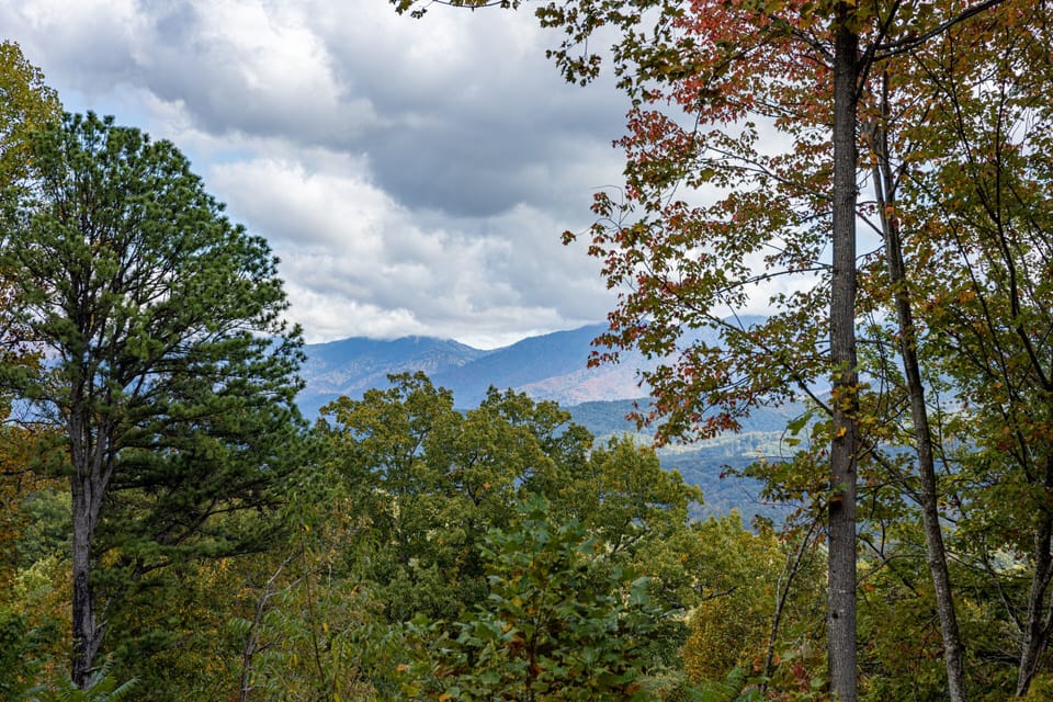 Cabin, Multiple Beds, Fireplace | View from room