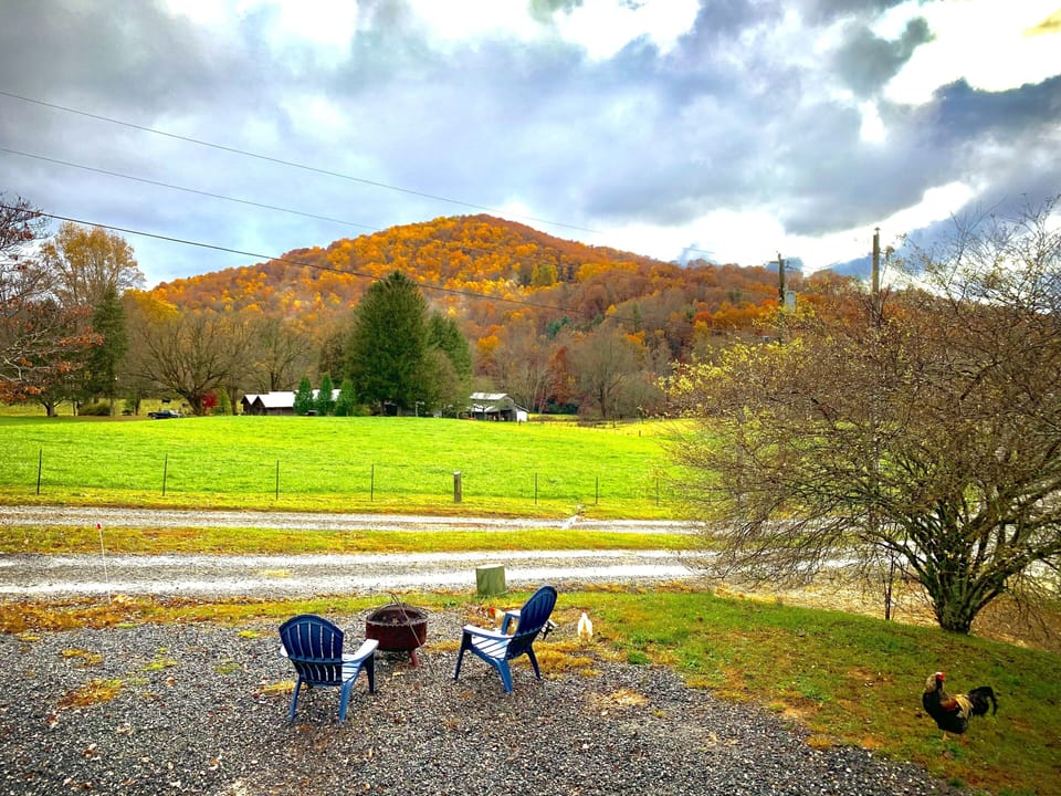 View from the front porch