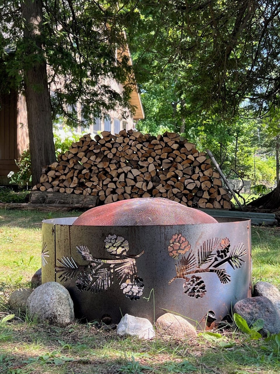 Fire Pit and wood supply