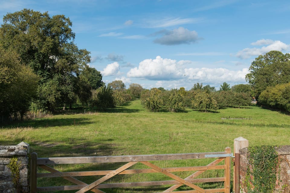 Views from the garden across to the orchard