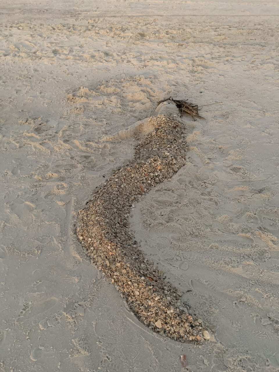 Beach Art