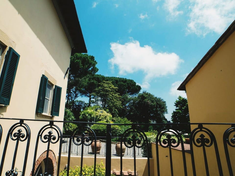 Plant, Sky, Building, Cloud, Property, Window, Fence, Tree, Wood, Residential Area
