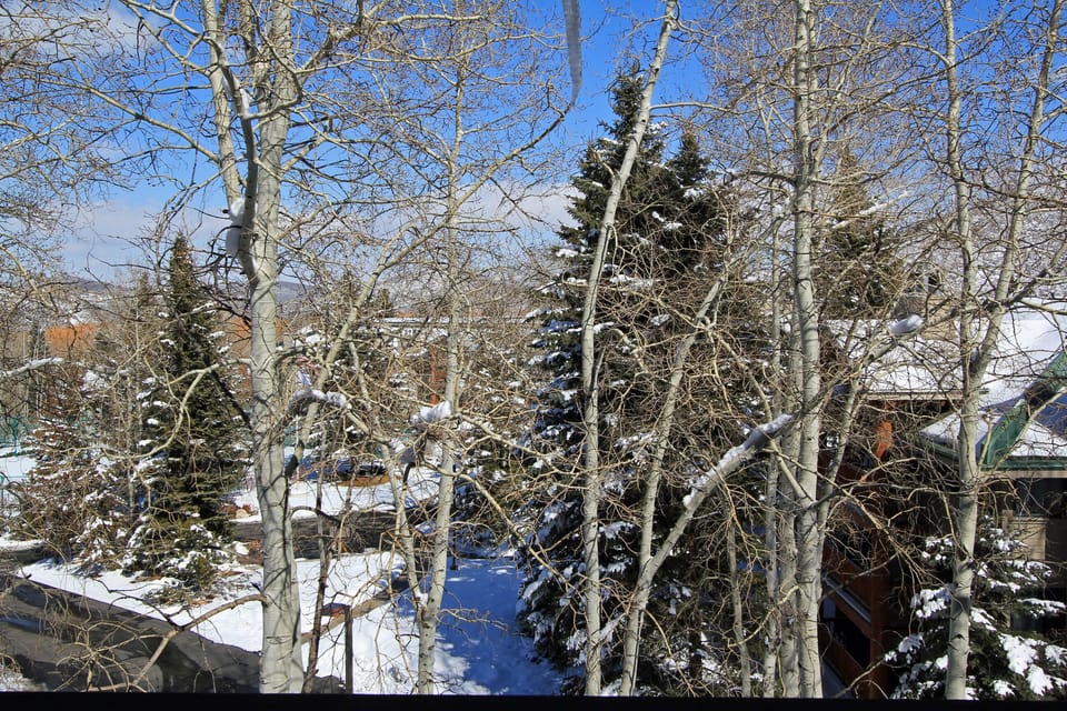 Winter View