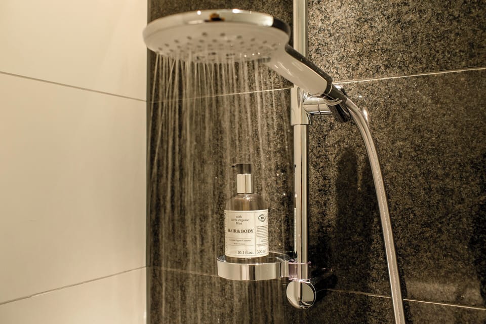 Shower, rainfall showerhead, hair dryer, towels