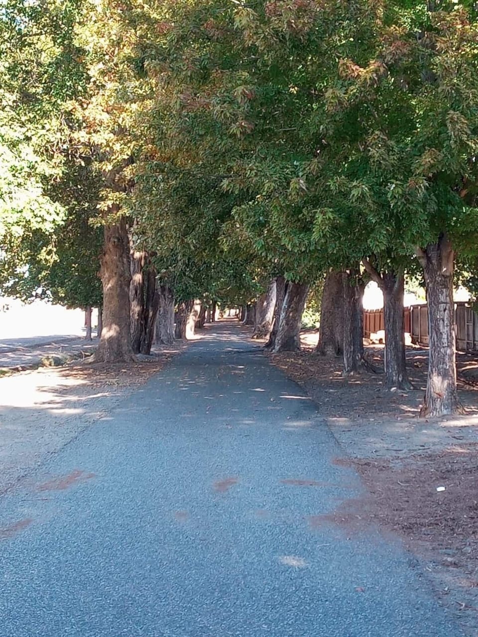 Green belt walking path nearby