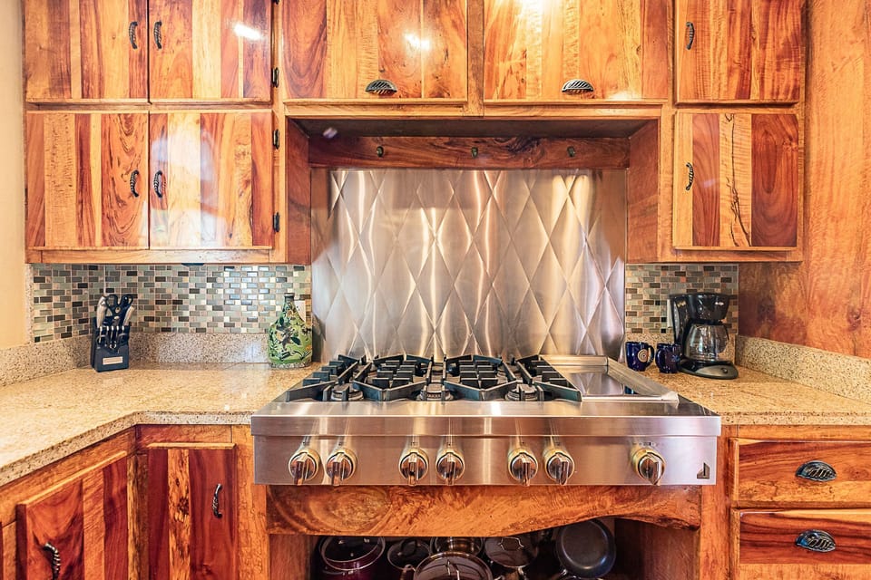 Propane gas professional cooktop